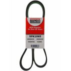 Belt - Serpentine - Bando