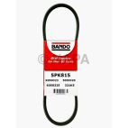 Serpentine Belt