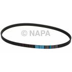 Serpentine Belt