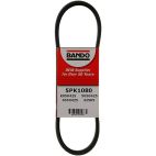 Belt - Serpentine - Bando