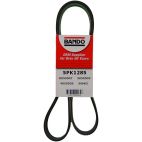 Belt - Serpentine - Bando