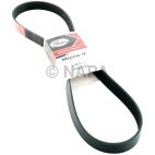Accessory Drive Belt