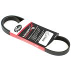 Accessory Drive Belt
