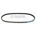 Accessory Drive Belt