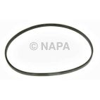 Accessory Drive Belt