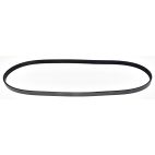 Belt - Serpentine - Bando
