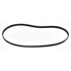 Belt - Serpentine - Bando