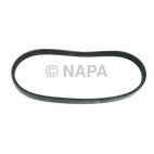 Accessory Drive Belt