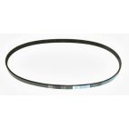 Belt - Serpentine - Bando