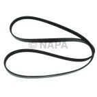 Accessory Drive Belt