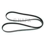 Accessory Drive Belt
