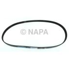 Accessory Drive Belt