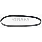 Serpentine Belt