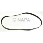 Accessory Drive Belt