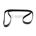 Serpentine Belt
