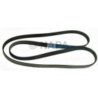 Accessory Drive Belt