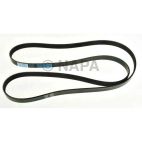 Accessory Drive Belt