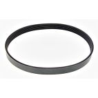 Belt - Serpentine - Bando