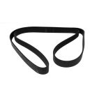 Belt - Serpentine - Bando