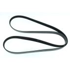 Belt - Serpentine - Bando