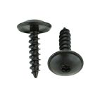 BAS02592- GM Style Torx Head Screw - 5.50 x 20mm (10123pk)