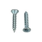 BAS02941 - Zinc Trim Screw - #10 x 1" (557PK)