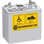 Golf Cart Battery