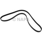 Serpentine Belt