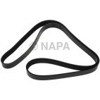 Accessory Drive Belt