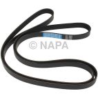 Accessory Drive Belt