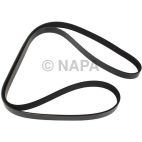 Serpentine Belt