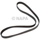 Accessory Drive Belt