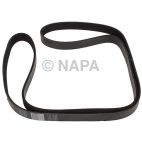 Serpentine Belt
