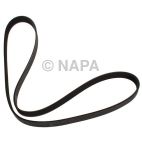 Serpentine Belt