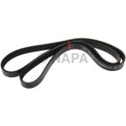 Serpentine Belt