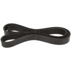 Accessory Drive Belt