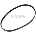 Accessory Drive Belt