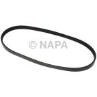 Accessory Drive Belt
