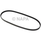 Accessory Drive Belt