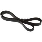 Accessory Drive Belt