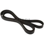 Accessory Drive Belt