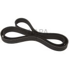 Accessory Drive Belt