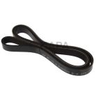 Serpentine Belt