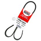 Accessory Drive Belt