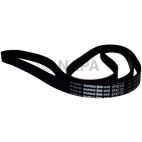 Accessory Drive Belt