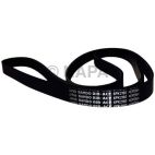 Accessory Drive Belt
