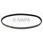 Serpentine Belt
