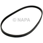 Accessory Drive Belt