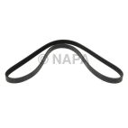 Serpentine Belt