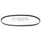 Serpentine Belt